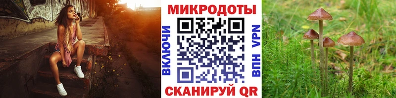 где купить наркоту  Светогорск  мориарти телеграм  Галлюциногенные грибы Magic Shrooms  omg зеркало 